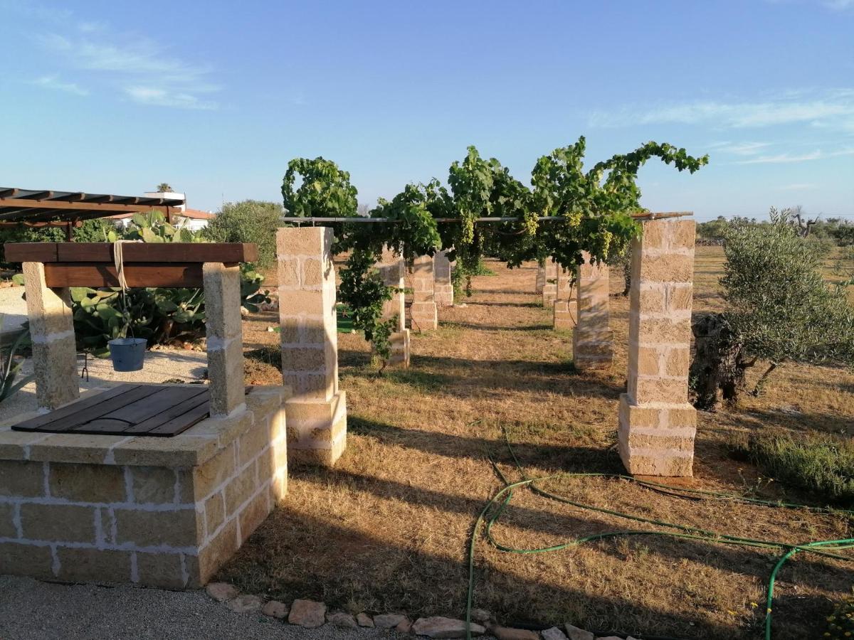 Villa Le Site Racale Exterior foto
